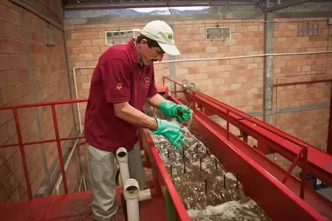 Water factory employee