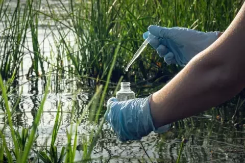 Person sampling water