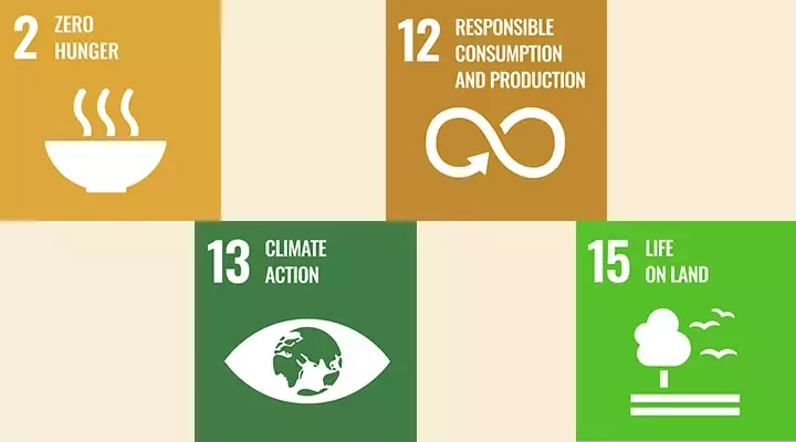 Advancing regenerative food systems