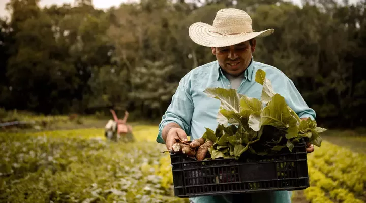 Nestlé is committed to upholding human rights throughout the supply chain