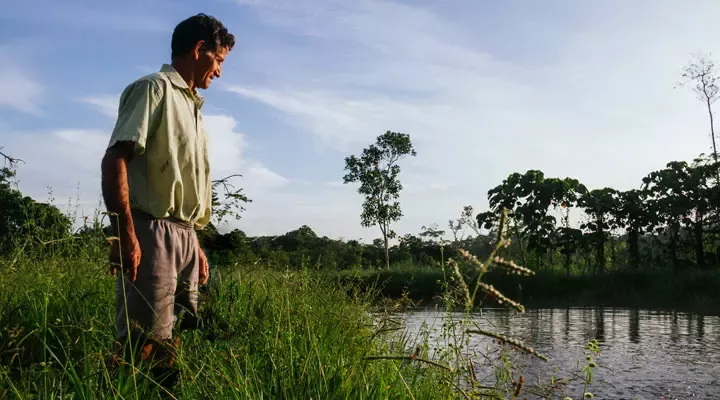 Nestlé protects the rights of Indigenous Peoples and Local Communities.