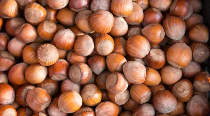 Hazelnuts are an important ingredient for us, and we source nearly 5000 metric tons annually.