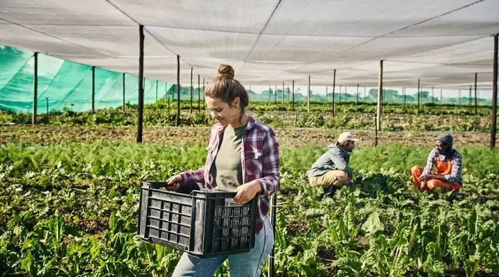 Nestlé works with like-minded partners to effect real change