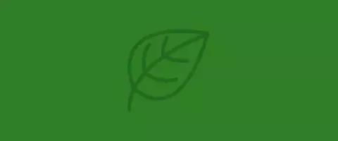 Green illustrated icon