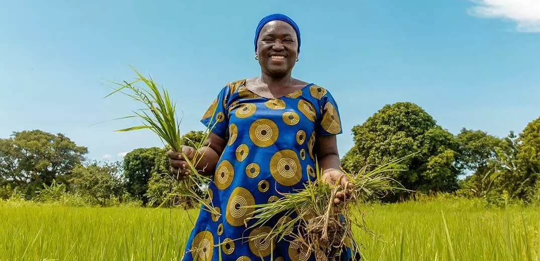 African female farmer on field