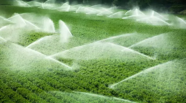 Water sprinklers in a field