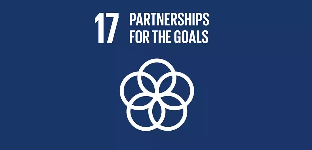 SDG goal 17