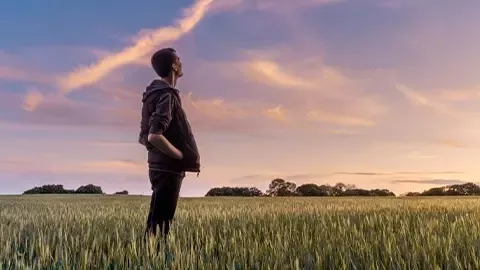 Person looks across field at sunrise