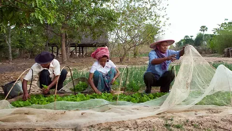 Nestlé supports employees and workers throughout the supply chain to reach a living income.