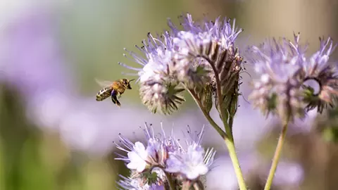 we aim to help protect, renew and restore the planet’s resources