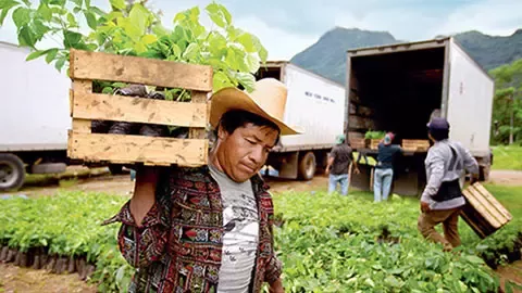 Person in field holding crate to bring into truck