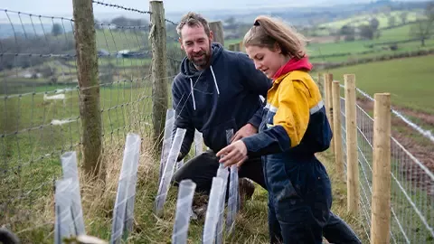 Young farmer planting hedgerows