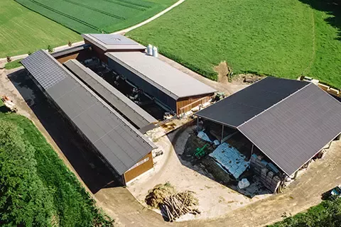 Dairy farm