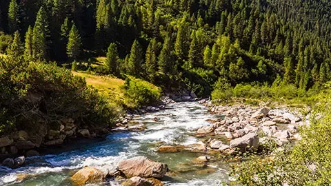 Upland river with tree lined banks