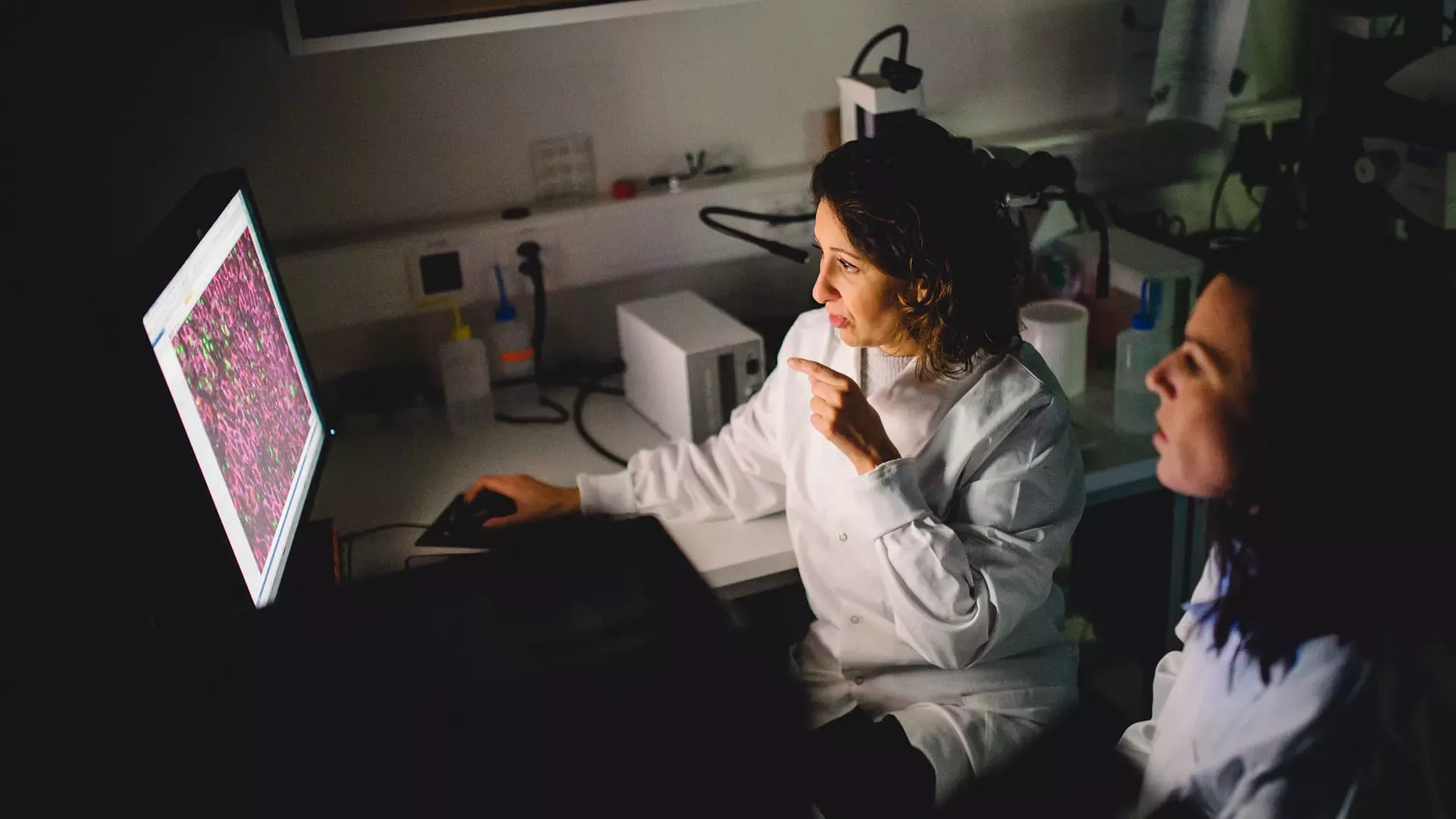 Scientists working