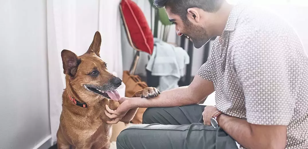 Woman feeding her dog