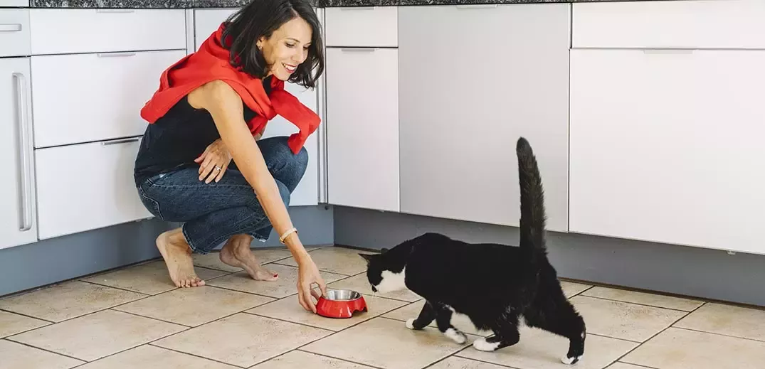 Woman feeding a cat
