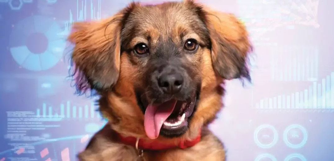 happy dog