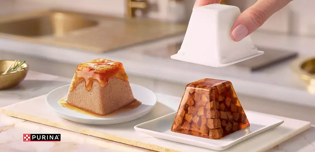 Purina pyramid-shaped wet cat food