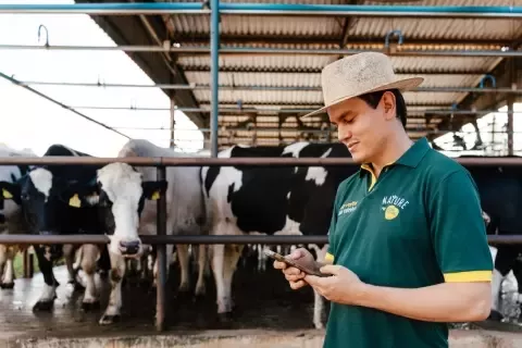 farmer with cows