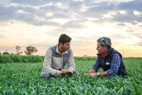 two farmers talking on the field