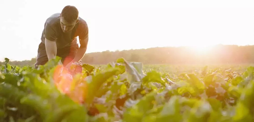 farmer in a field