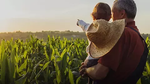 Creating shared value