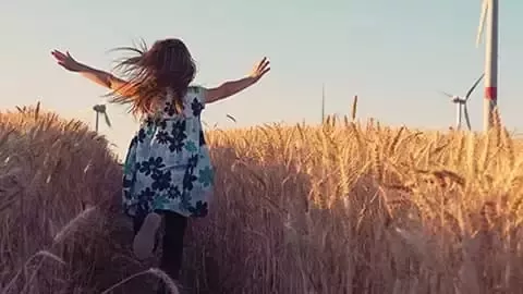 Child in wheat field near turbines.
