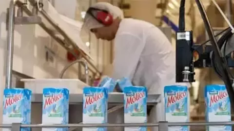 Milk cartons on a factory line.