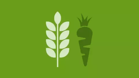 Wheat and carrot icons on green background.