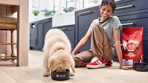 Puppy eating from a bowl on a kitchen floor, with pet food and person nearby