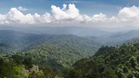 Mountains