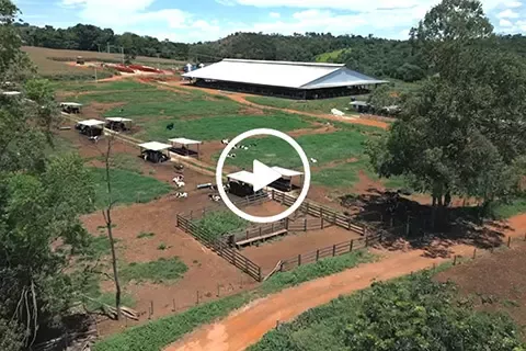 low carbon feed