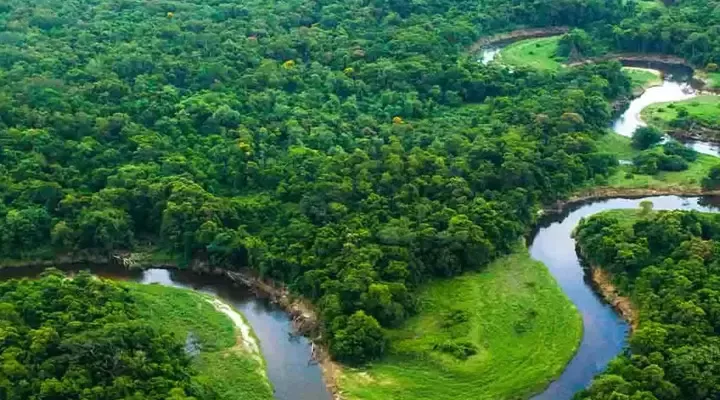 River across forest