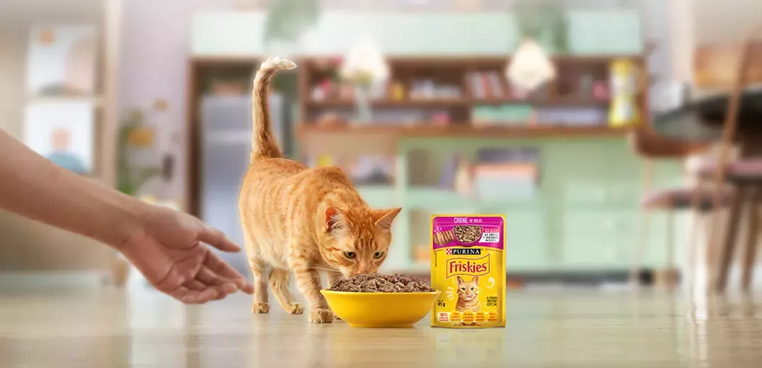 Orange tabby cat eating from a bowl next to a Purina Friskies cat food pack in a home kitchen