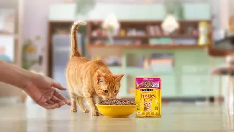Orange tabby cat eating from a bowl next to a Purina Friskies cat food pack in a home kitchen