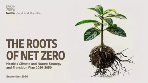 roots of net zero report