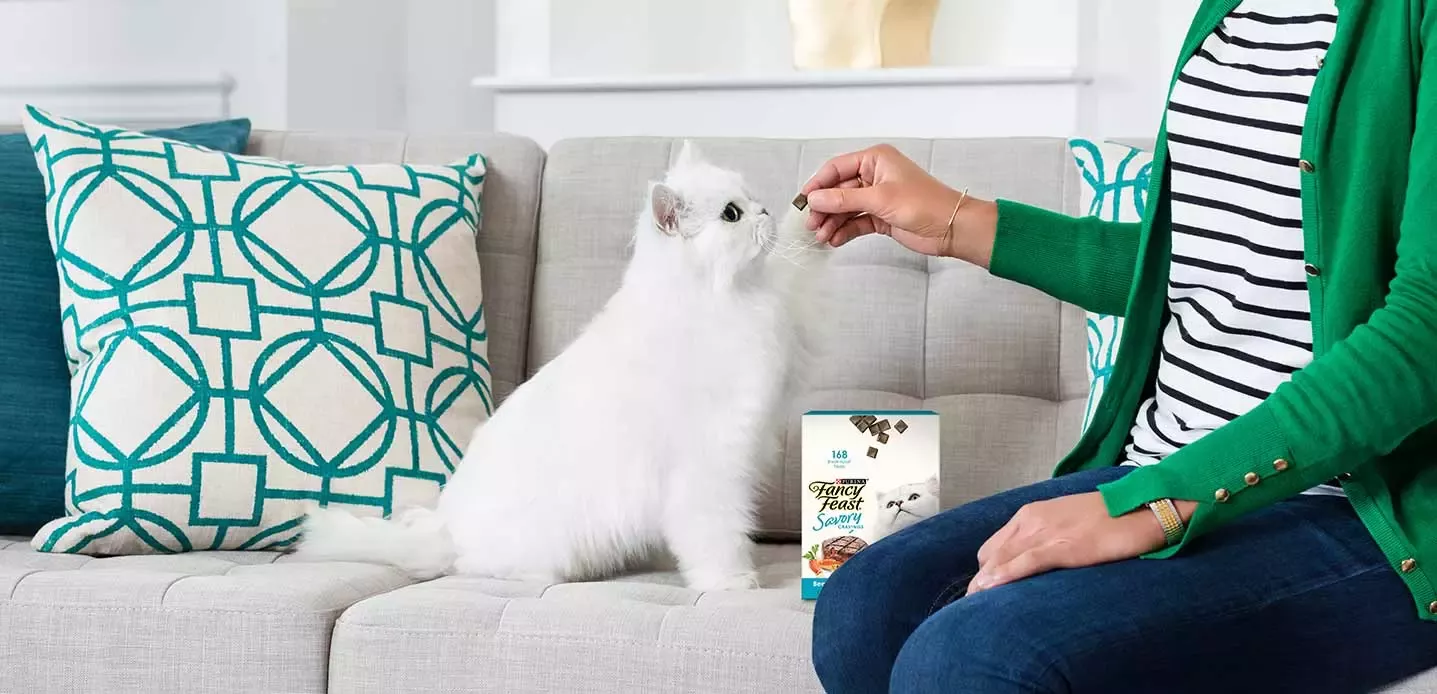 Woman feeding cat