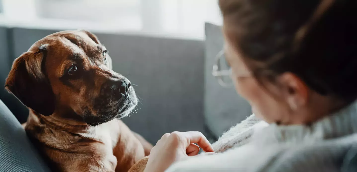Girl with her dog