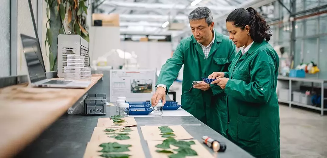 Two scientists are working at lab