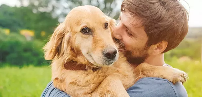dog
