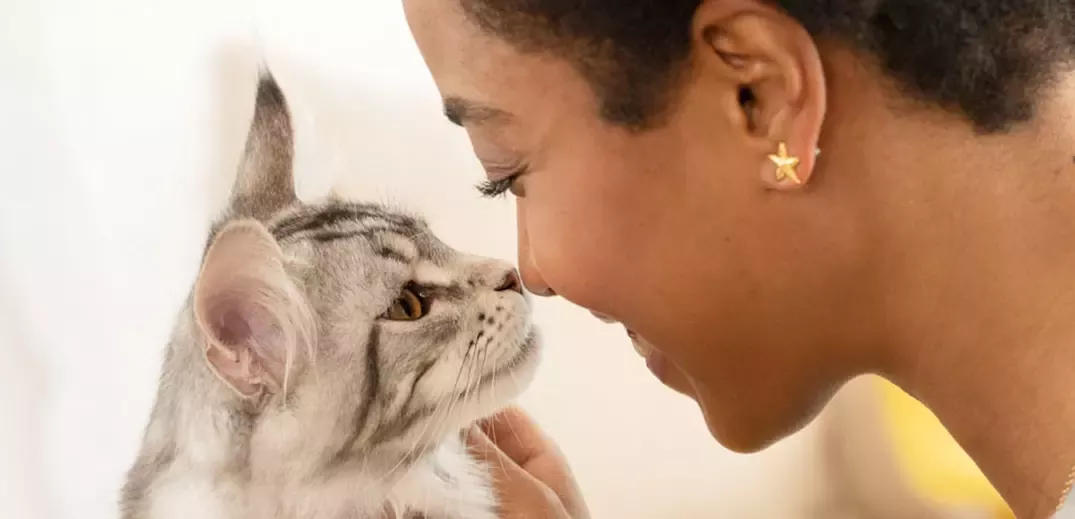 Purina invests CHF 115 million to expand US pet care factory