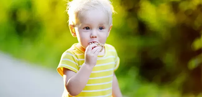 toddler-boy-eating-bread.jpg