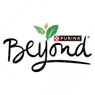 Beyond logo