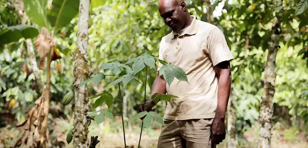 farmer