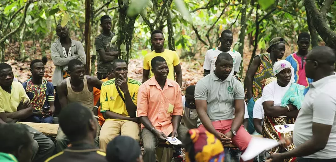 Meeting in the forest