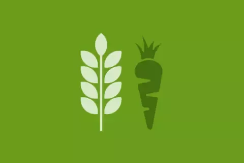 environment-GMO-ingredients