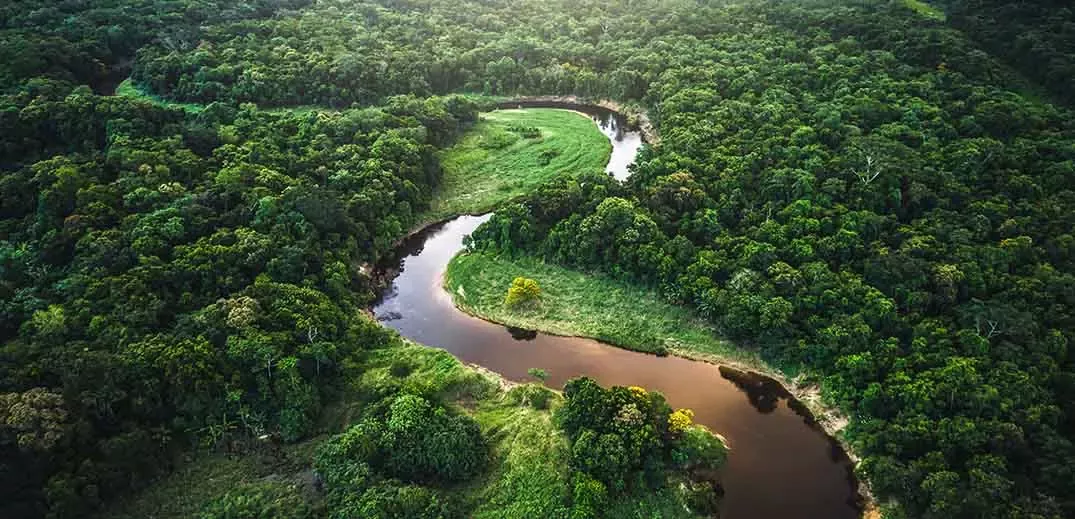 eliminating deforestation