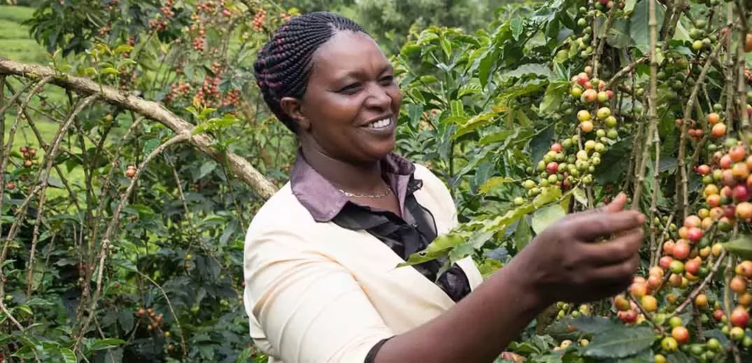coffee farmer