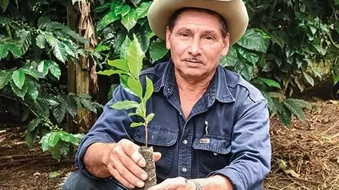 coffee farmer